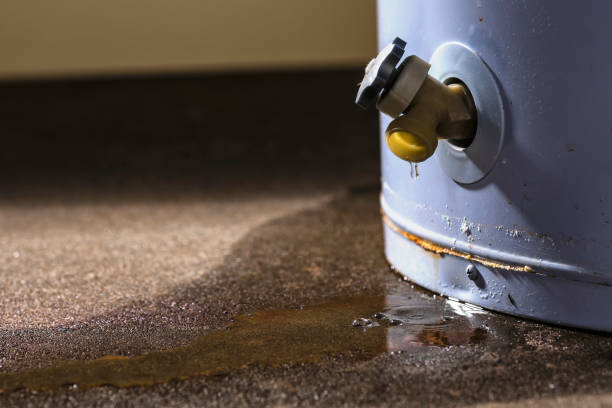  Frostburg, MD Water damage restoration Pros