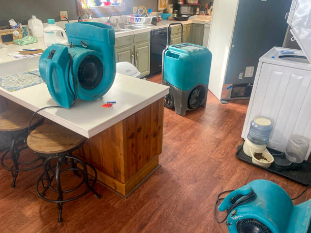 Best Local water damage restoration  in Frostburg, MD