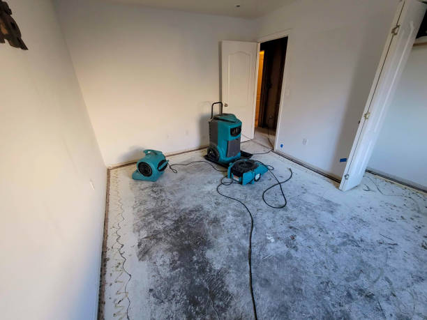 Best Water damage restoration mold remediation  in Frostburg, MD