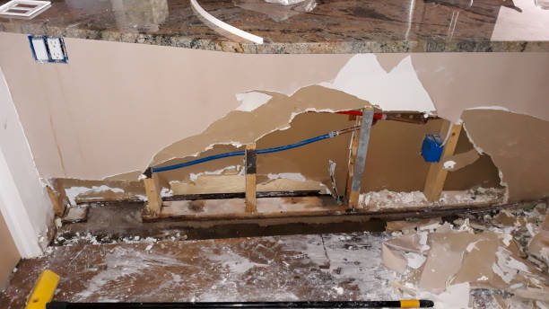 Best Ceiling water damage repair  in Frostburg, MD