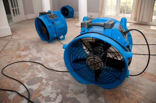 Best Flood damage cleanup  in Frostburg, MD