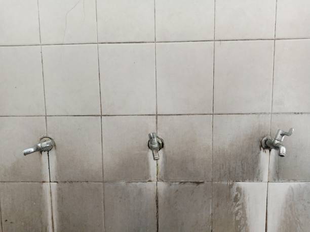 Best Water damage repair service  in Frostburg, MD