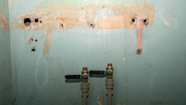 Best Water damage contractors near me  in Frostburg, MD