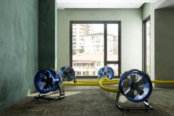 Best 24/7 water damage repair  in Frostburg, MD